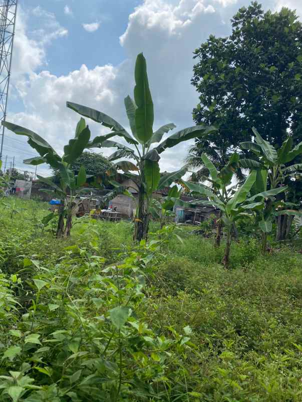 dijual tanah dukuh pomah