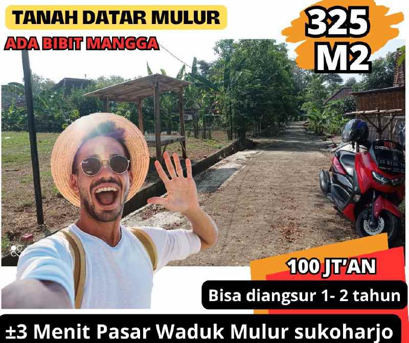 dijual tanah jagan mulur bendosari