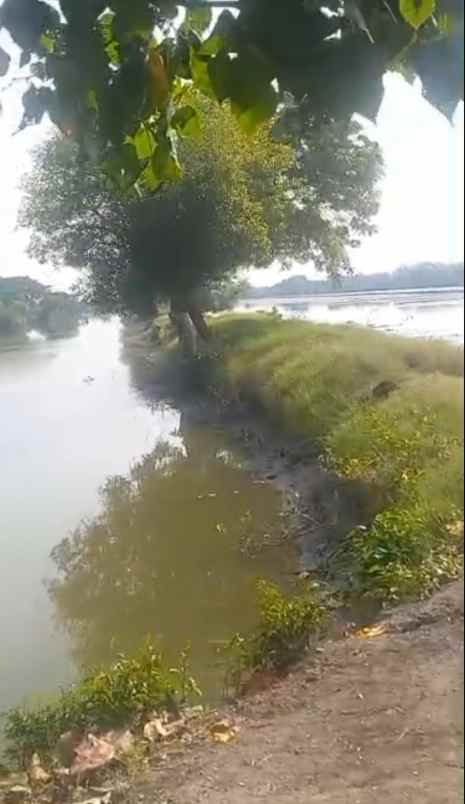 dijual tanah jalan desa kedungpandan