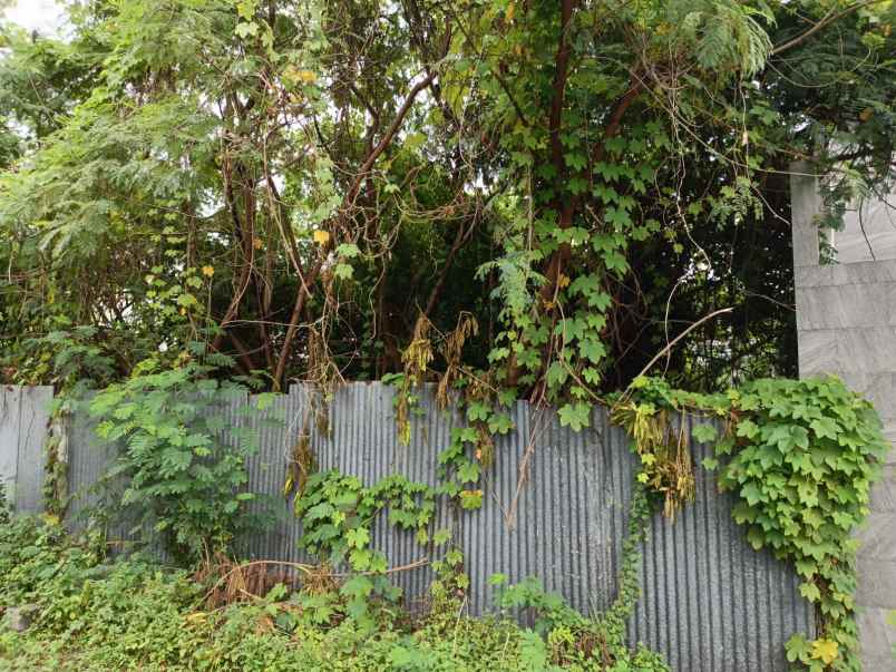 dijual tanah jalan gunung sari indah