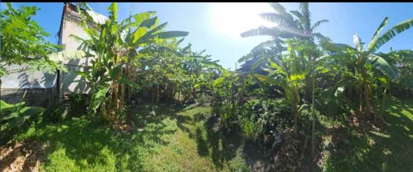 dijual tanah jalan gunung tangkuban perahu