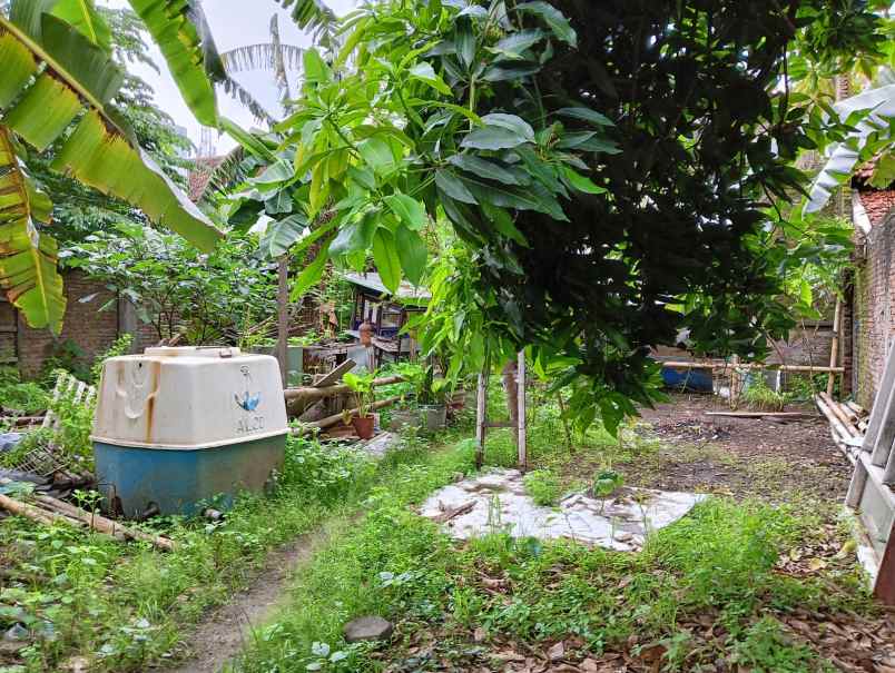 dijual tanah jalan menoreh