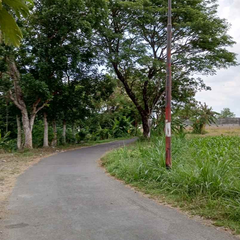 dijual tanah jalan plumbon kaliurang