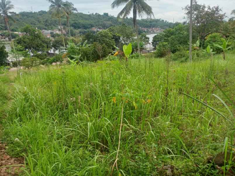 dijual tanah jalan pojok sadang desa