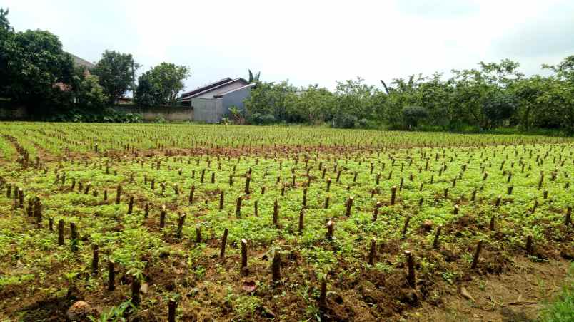 dijual tanah jalan raya kayu manis