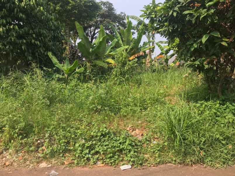 dijual tanah jalan raya pondok rajeg