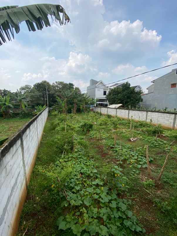 dijual tanah jalan raya tanah baru