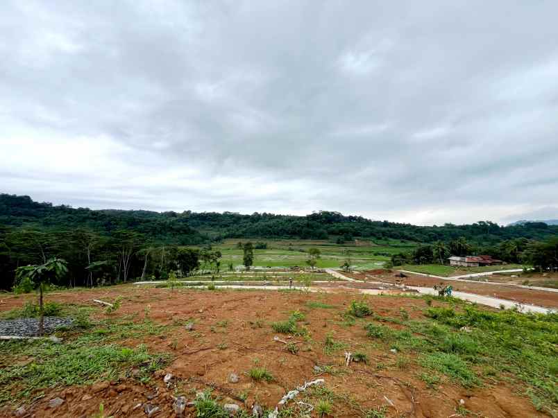 dijual tanah jalan raya transyogi