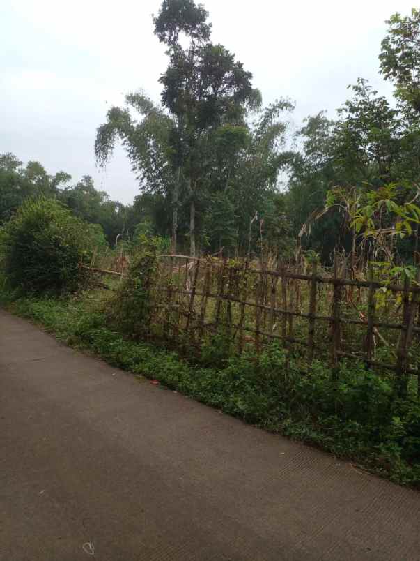 dijual tanah jalan sayang cikancung