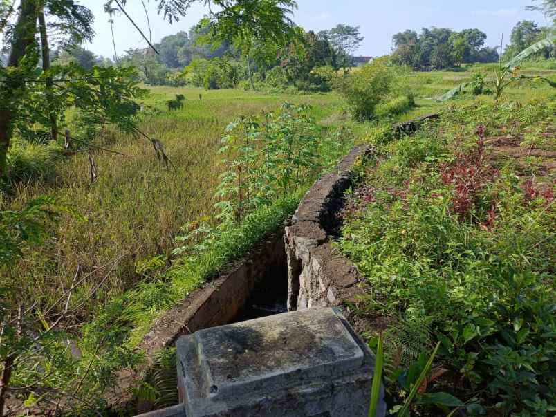 dijual tanah jalan sukasari kabupaten