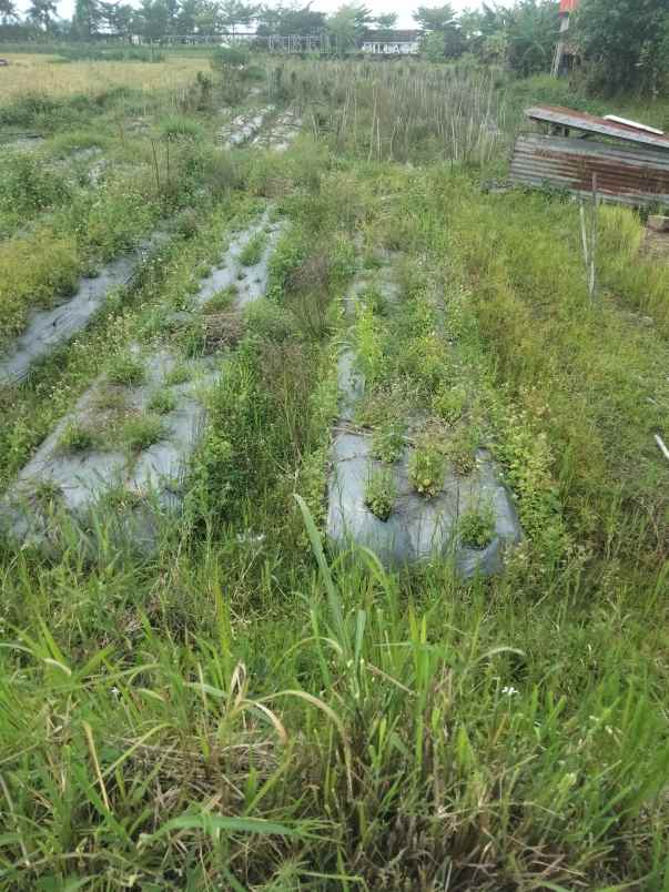 dijual tanah jl jembulan krandon