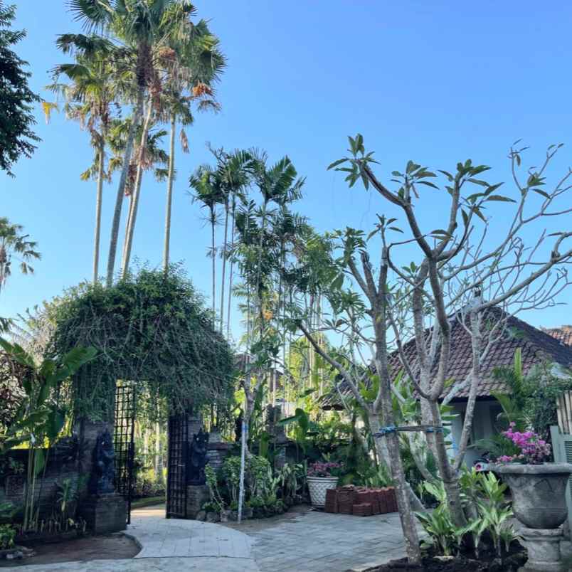 dijual tanah jl kubu manyar