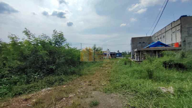 dijual tanah jl pagelaran desa ciherang