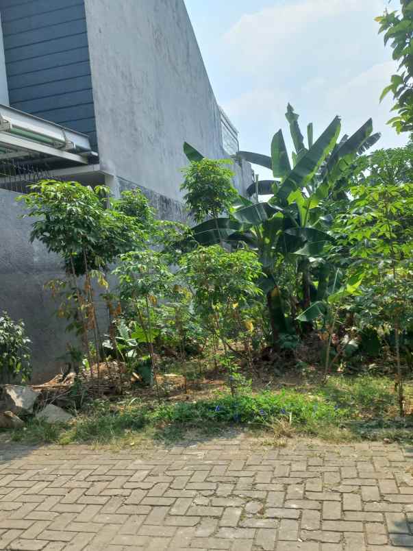 dijual tanah jl serdang beji depok