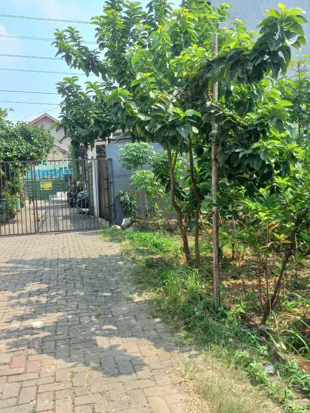 dijual tanah jl serdang beji depok