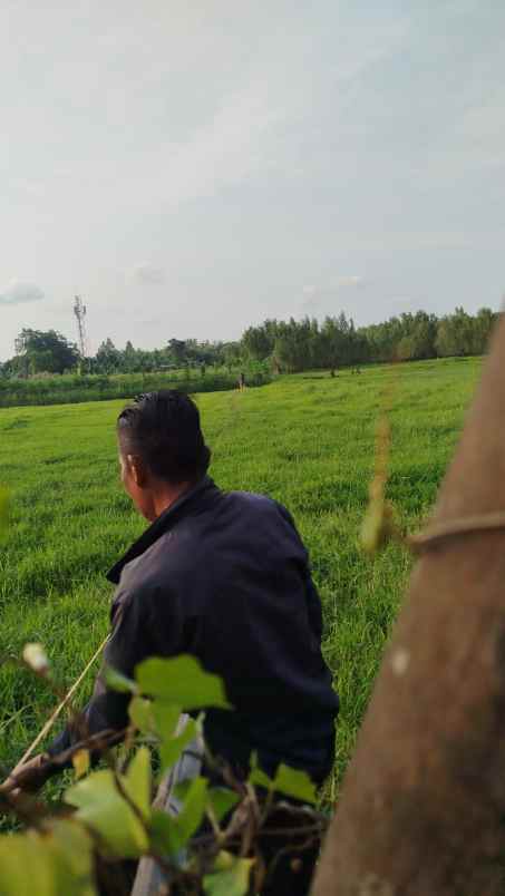 dijual tanah jl swadaya raya rt 011 rw