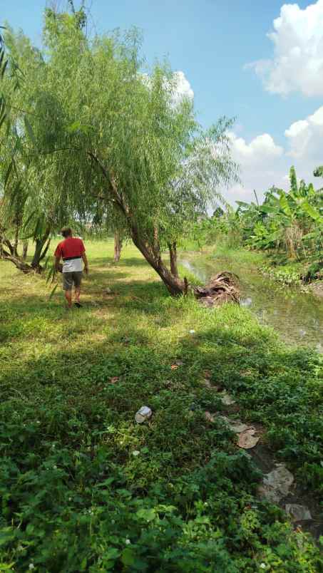 dijual tanah jl swadaya raya rt 011 rw