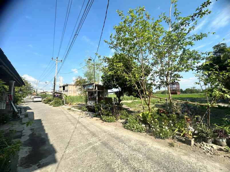 dijual tanah jl utara potorono