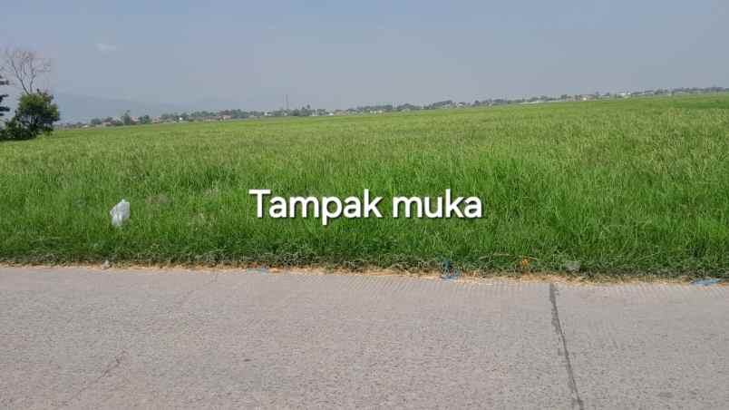 dijual tanah jln ranca kasumba bojongemas