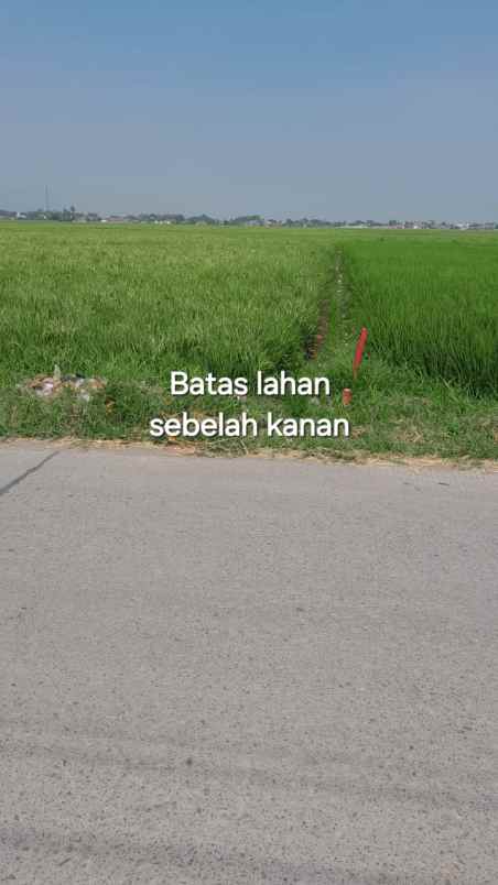 dijual tanah jln ranca kasumba bojongemas