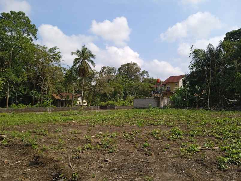 dijual tanah kadisono margorejo