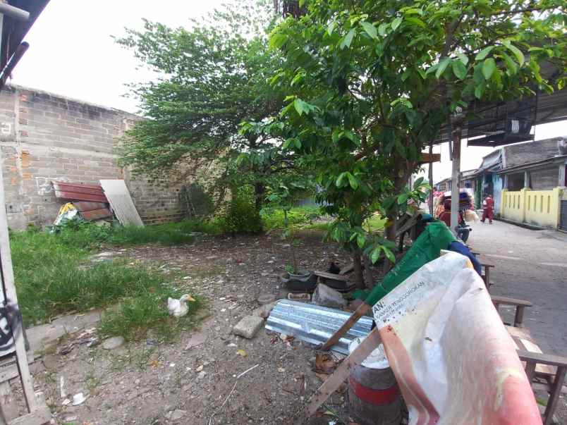 dijual tanah kampung irian teluk pucung