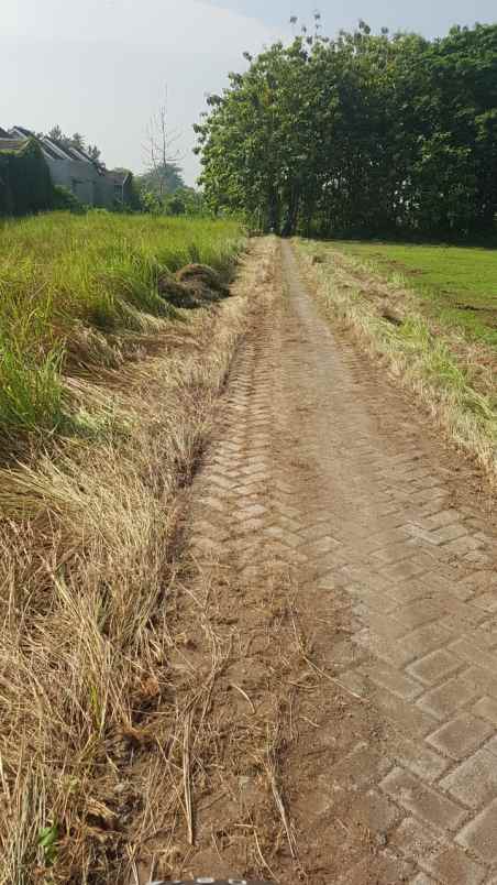 dijual tanah karangbong gedangan sidoarjo