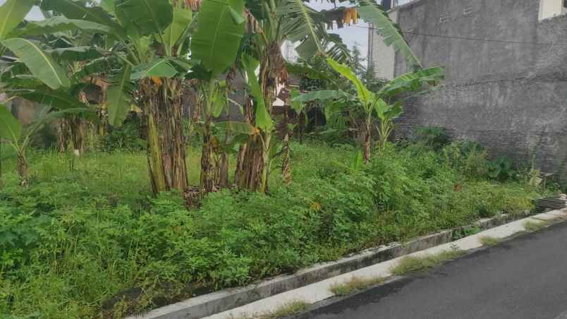 dijual tanah kavling di klipang sendangmulyo semarang
