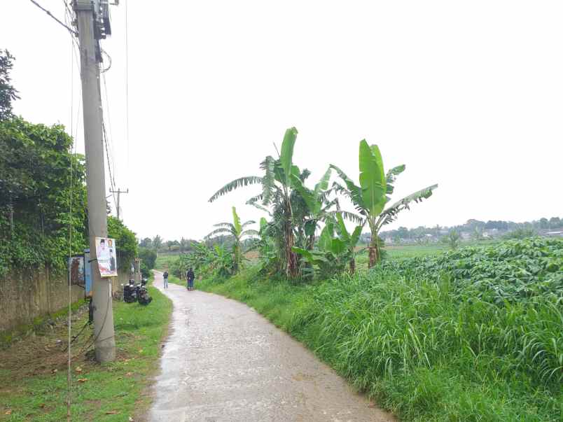 dijual tanah kavling green parung bogor