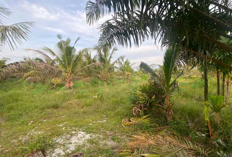 dijual tanah kavling milik pribadi