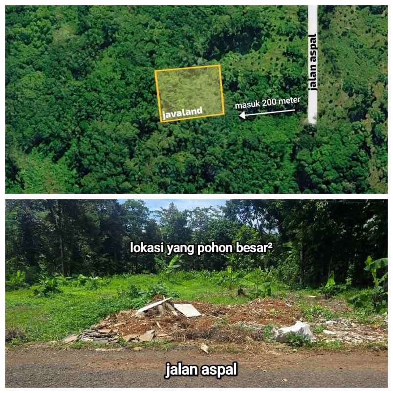 dijual tanah kebon di wonoplumbon mijen semarang