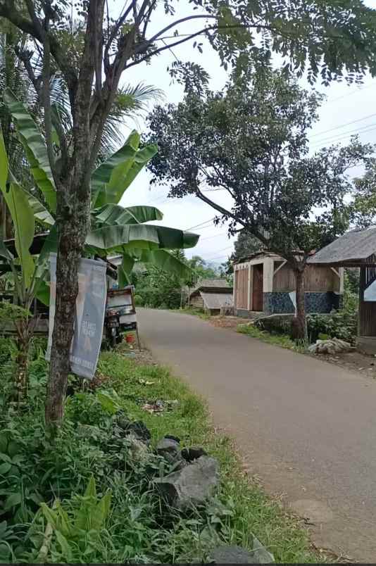 dijual tanah kebun di ciambar parungkuda sukabumi