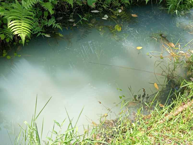 dijual tanah kebun durian murah tempat strategis