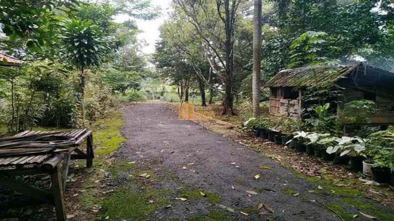 dijual tanah kelurahan taringgul