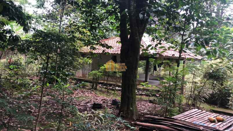 dijual tanah kelurahan taringgul