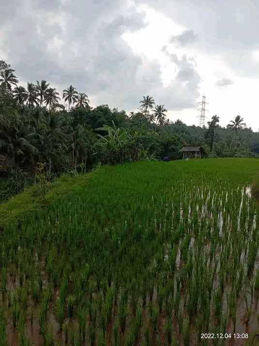 dijual tanah kp cisela