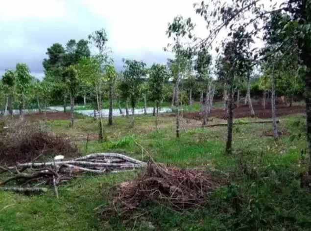 dijual tanah kusuma agrowisata
