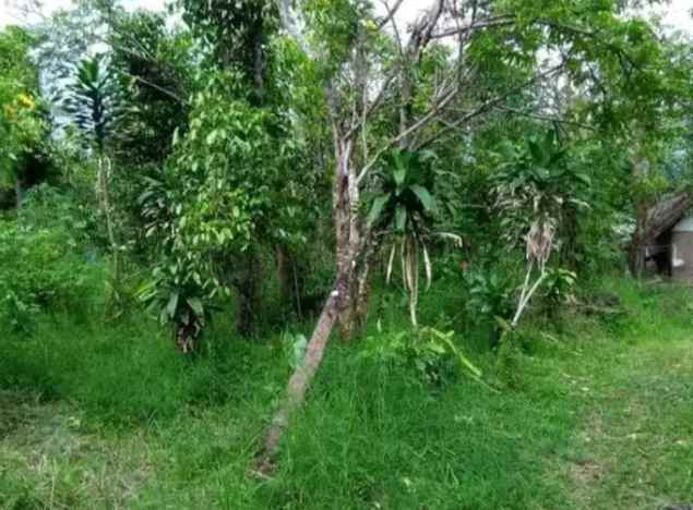 dijual tanah kusuma agrowisata