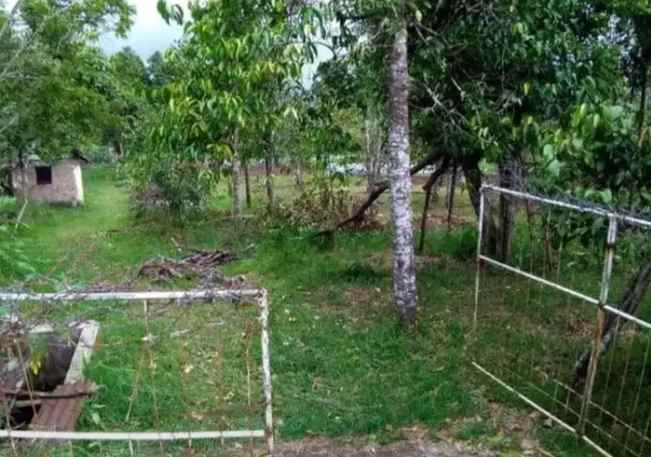 dijual tanah kusuma agrowisata