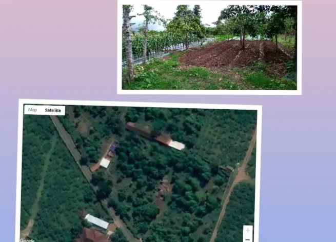 dijual tanah kusuma agrowisata