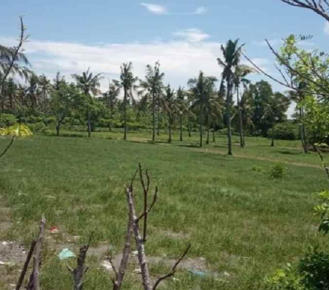 dijual tanah lembar selatan lombok nusa