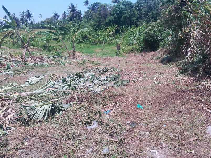 dijual tanah lokasi di sebelah barat pantai cemagi