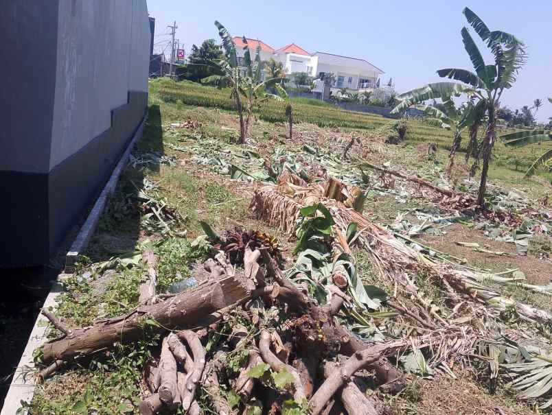 dijual tanah lokasi di sebelah barat pantai cemagi