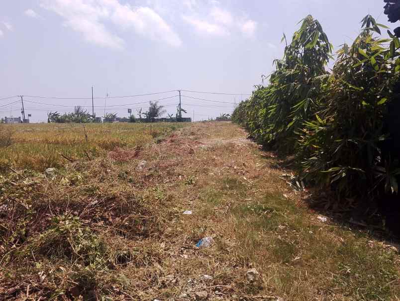 dijual tanah lokasi di sebelah barat pantai cemagi