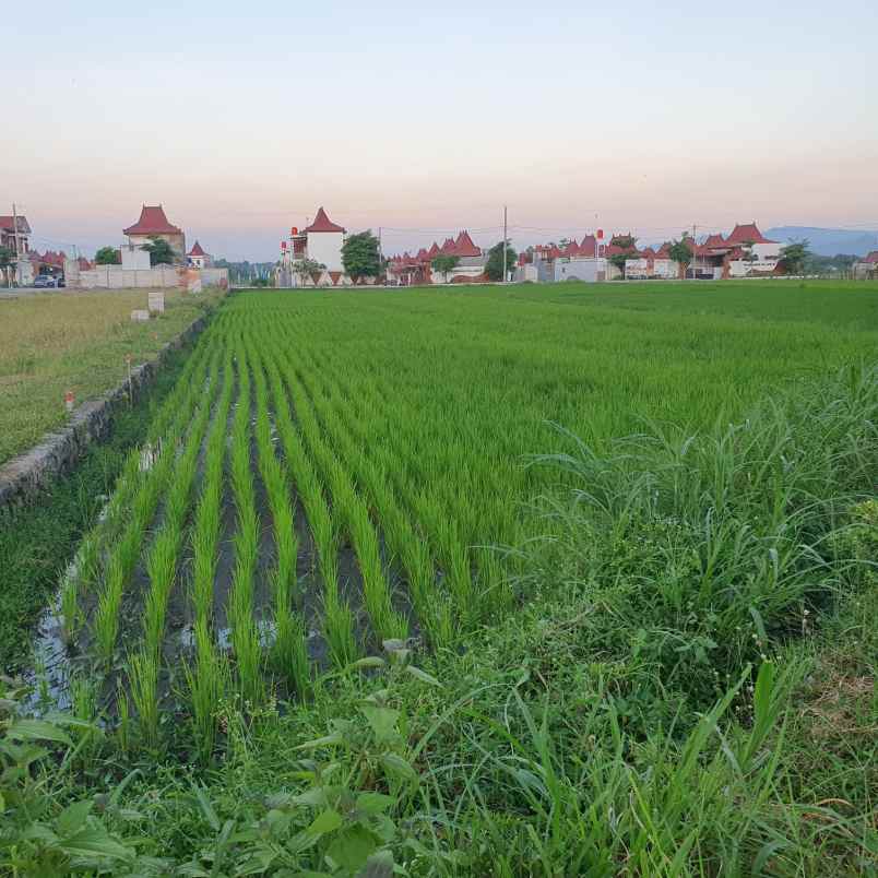 dijual tanah luas 4 menit dari jalan jogja solo