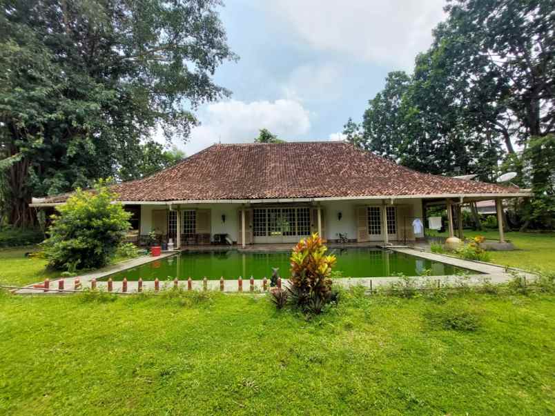 dijual tanah luas bonus rumah di pogung sleman