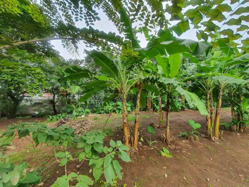 dijual tanah luas shm dekat depok town square