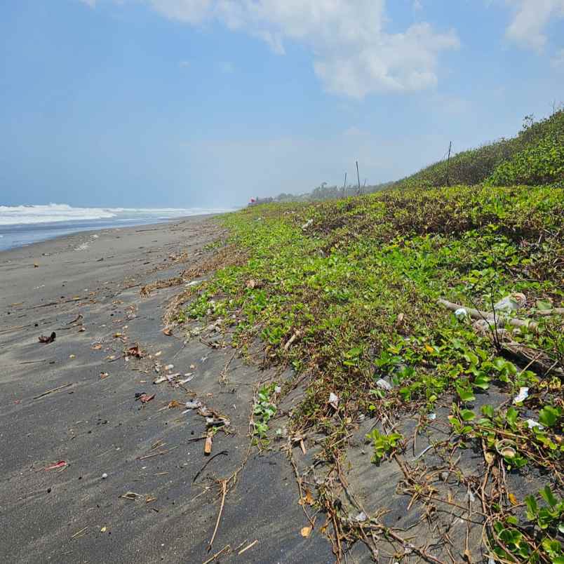 dijual tanah pantai yeh gangga