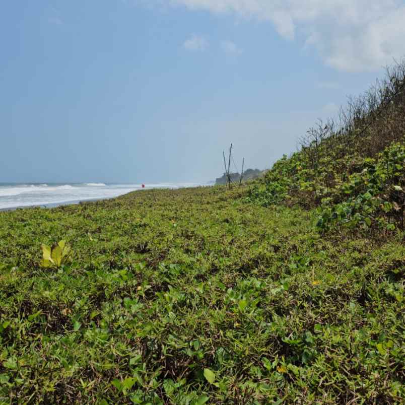 dijual tanah pantai yeh gangga