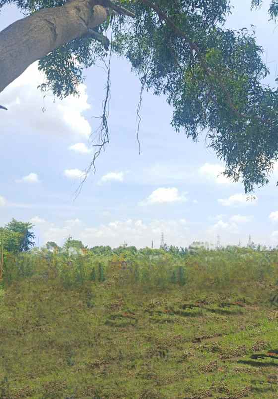 dijual tanah pasir gombong